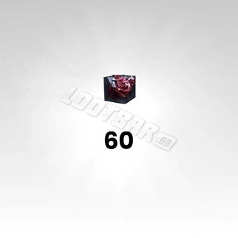 60個のウルトラキューブ | 無期迷途