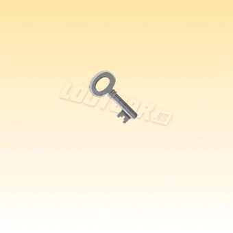 1 Basement Key | Lost SW