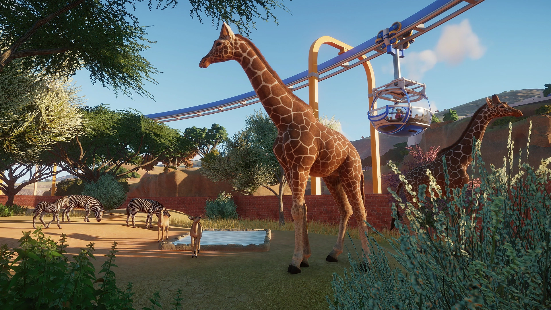 About the Planet Zoo