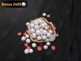 12000 Echo Beads | Where Winds Meet