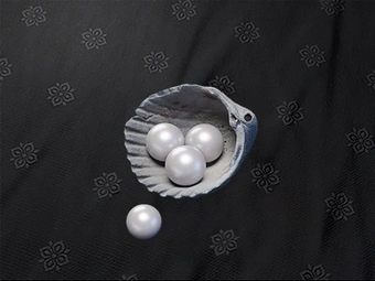 180 Echo Beads | Where Winds Meet