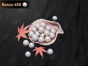 3000 Echo Beads | Where Winds Meet