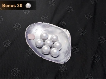 300 Echo Beads | Where Winds Meet