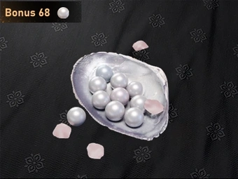 600 Echo Beads | Where Winds Meet