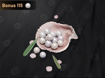 900 Echo Beads | Where Winds Meet