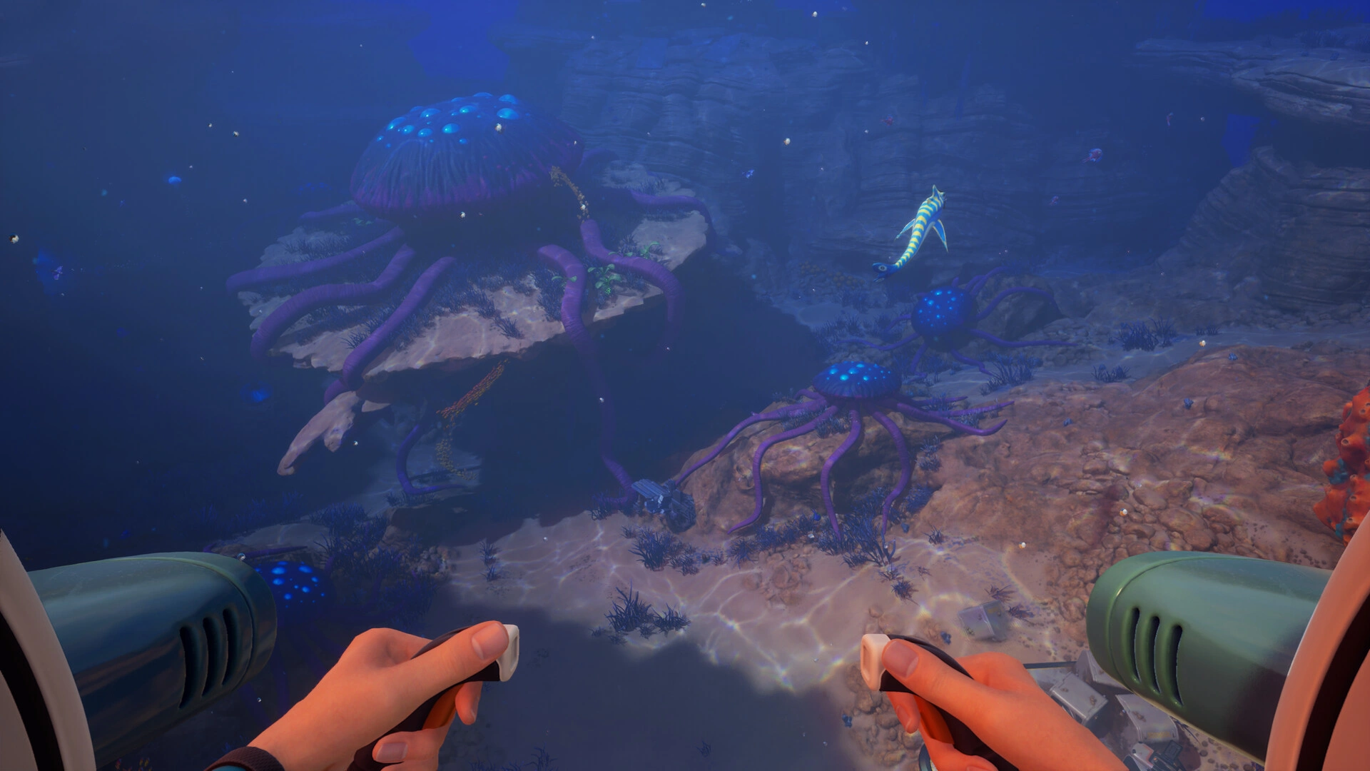 About the Subnautica 2