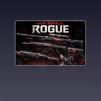 Rogue Bundle | Valorant