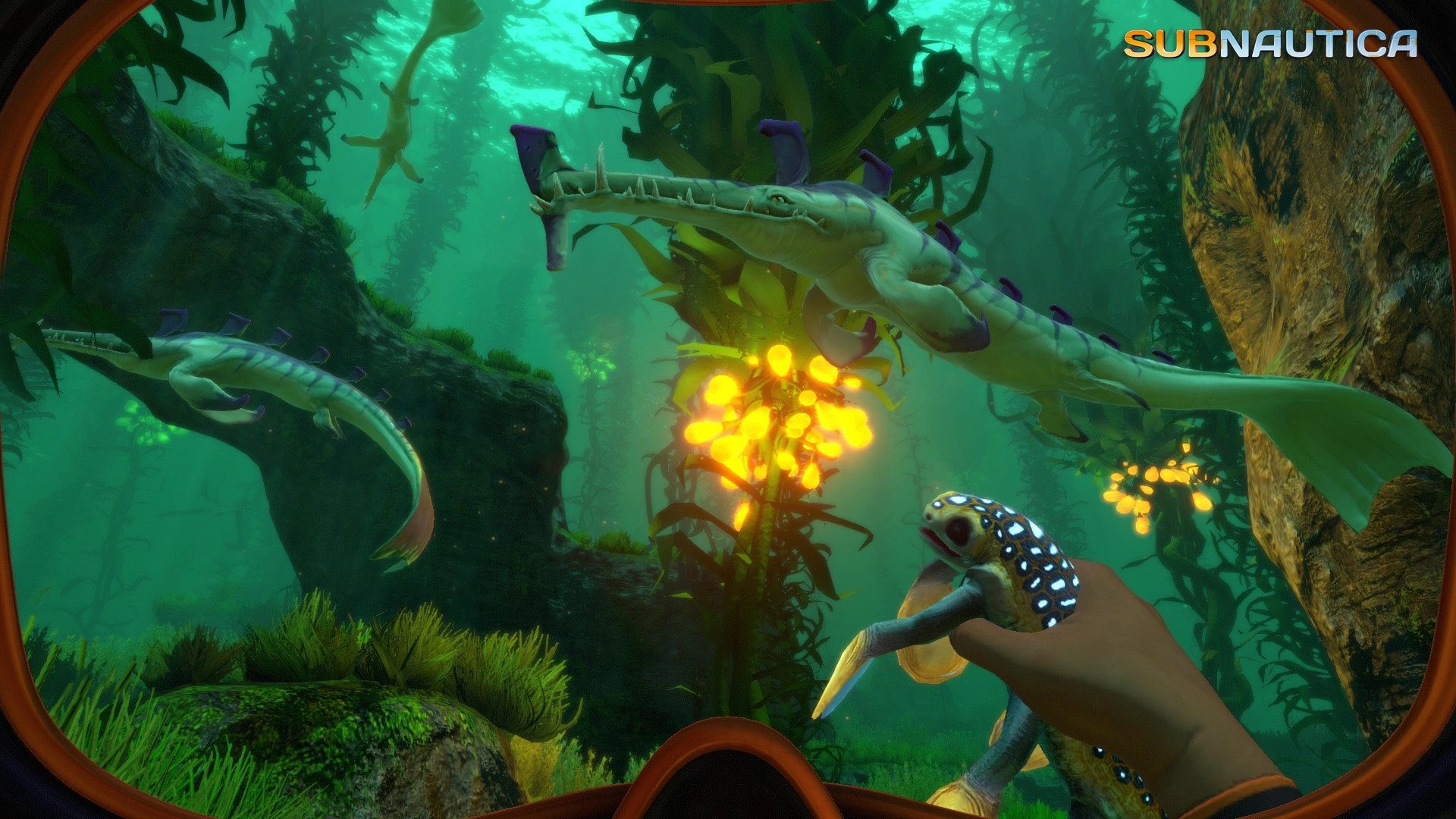 About the Subnautica
